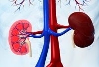 Kidney problems may prevent life-saving heart attack care